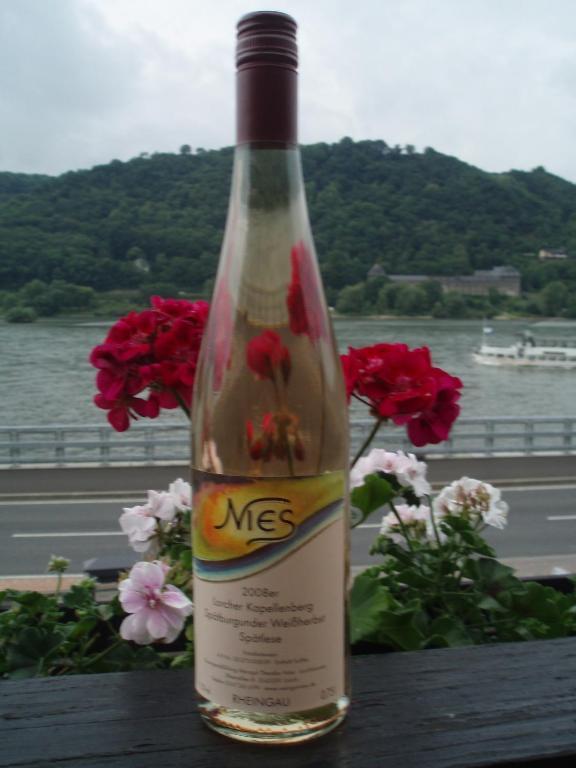 Ferienwohnung Weingut Theodor Nies Lorch am Rhein Exterior foto