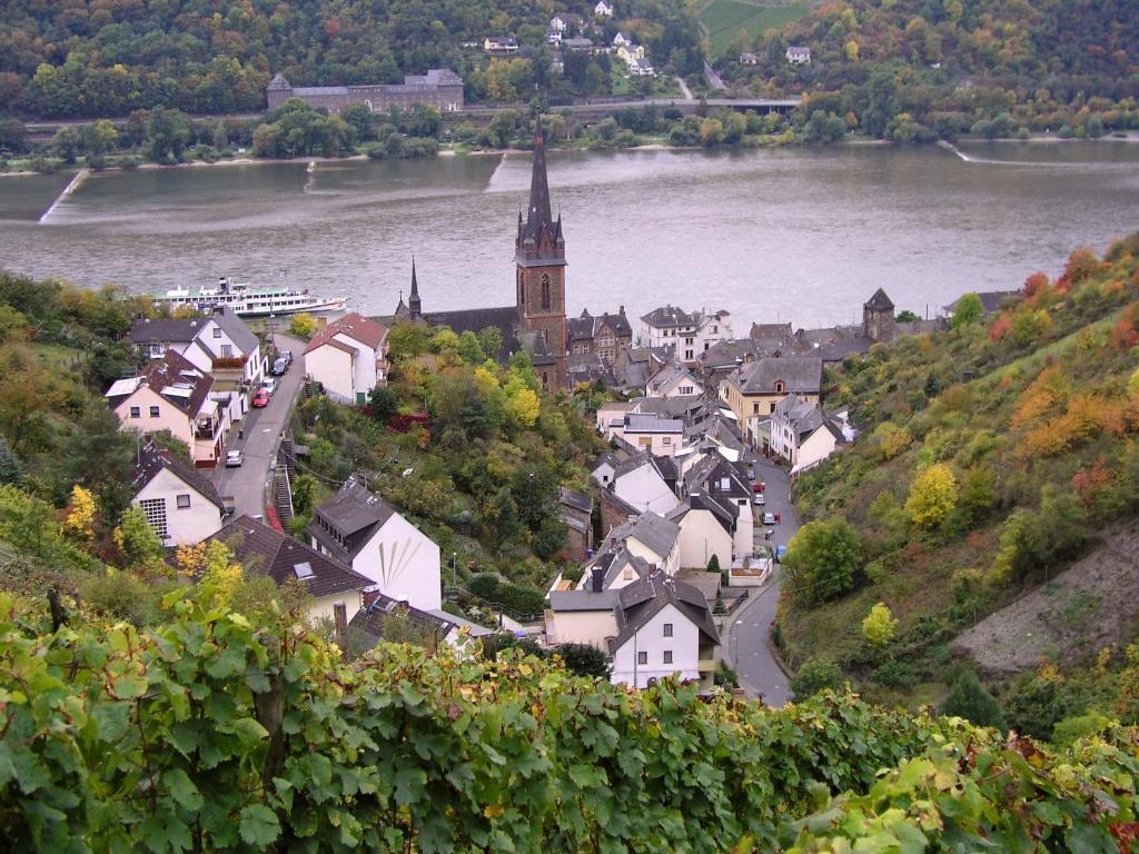 Ferienwohnung Weingut Theodor Nies Lorch am Rhein Exterior foto